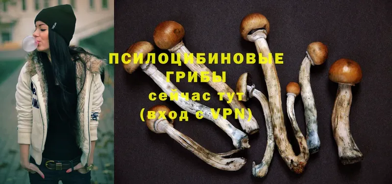 Галлюциногенные грибы Magic Shrooms  Павловский Посад 